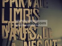 Phantom Limbs: Pengaruh, Haptics dan 'Partes De Mucha Gente' di Nuestra Parte De Noche karya Mariana Enriquez